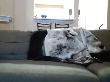 latina cam man pinkyandthebrain1 image #3579247