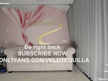 latina cam girl wildtequilla image #3309300