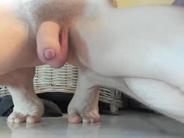 latina cam man viksons image #3572406