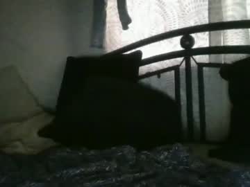 latina cam girl babypantie image #4016244