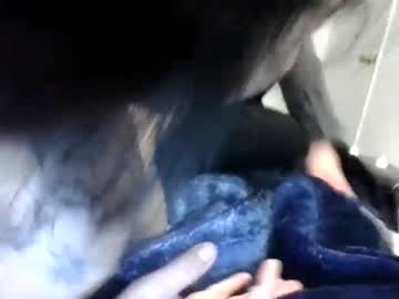 palmlight latina cam