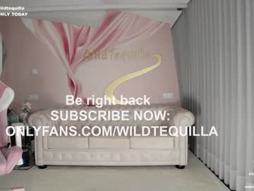 latina cam girl wildtequilla image #3831365