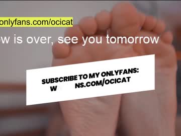latina cam girl ocicat image #1613411